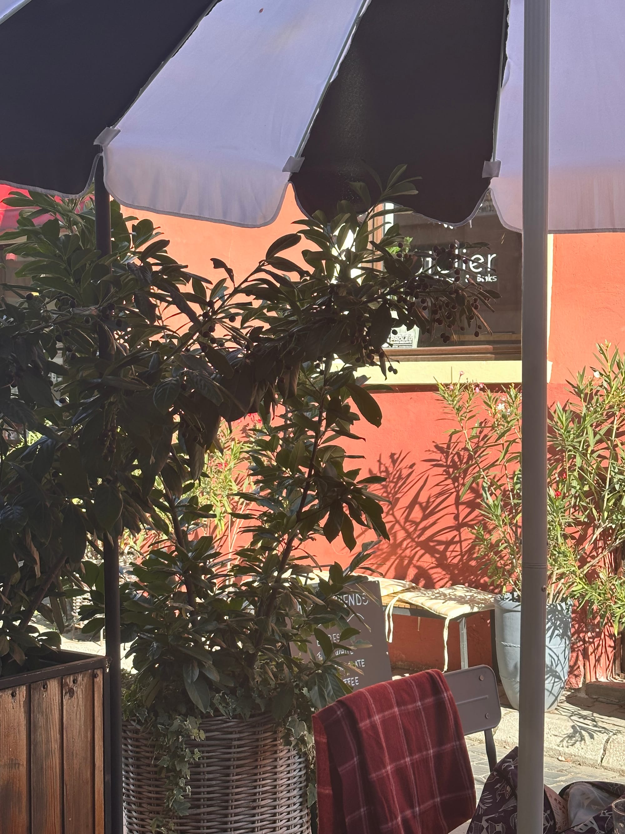 Zwischen den Zeilen – September 2025