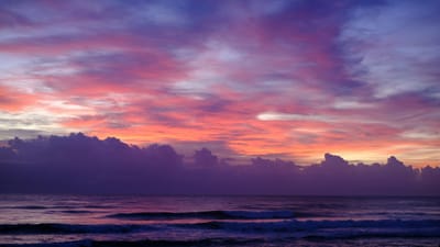 Splitter des Tages 01.06. - 08.06.
